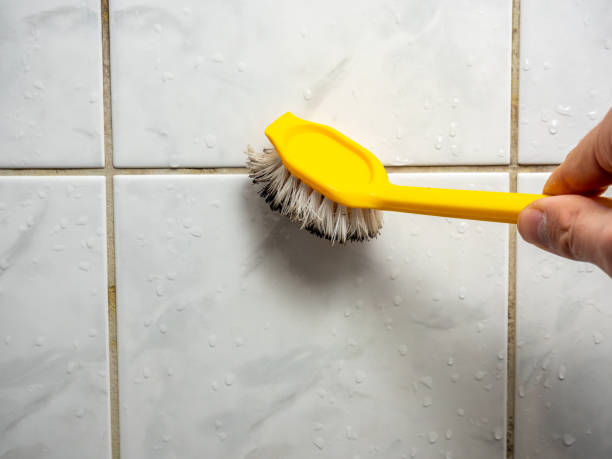 Best Certified Mold Removal  in Sand Lake, MI