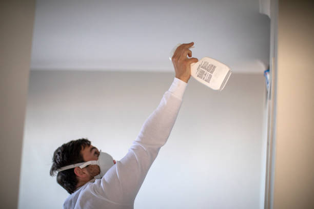 Certified Mold Removal in Sand Lake, MI