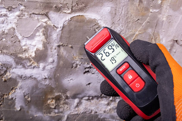 Best Mold Remediation  in Sand Lake, MI