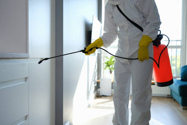Best Toxic Mold Removal  in Sand Lake, MI