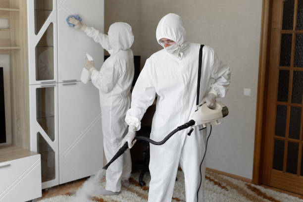 Best Toxic Mold Removal  in Sand Lake, MI