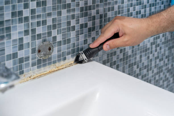 Best Attic Mold Removal  in Sand Lake, MI