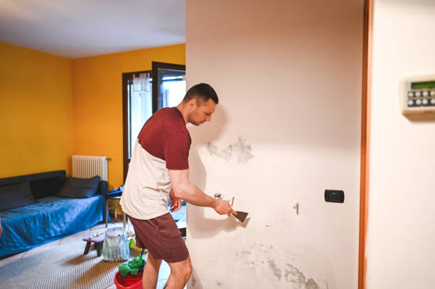 Best Emergency Mold Removal  in Sand Lake, MI