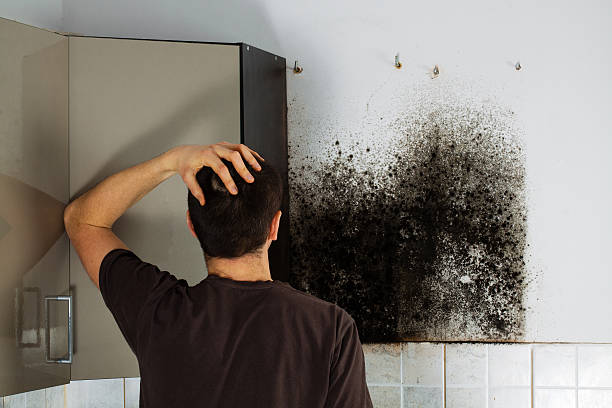 Best Mold Testing  in Sand Lake, MI